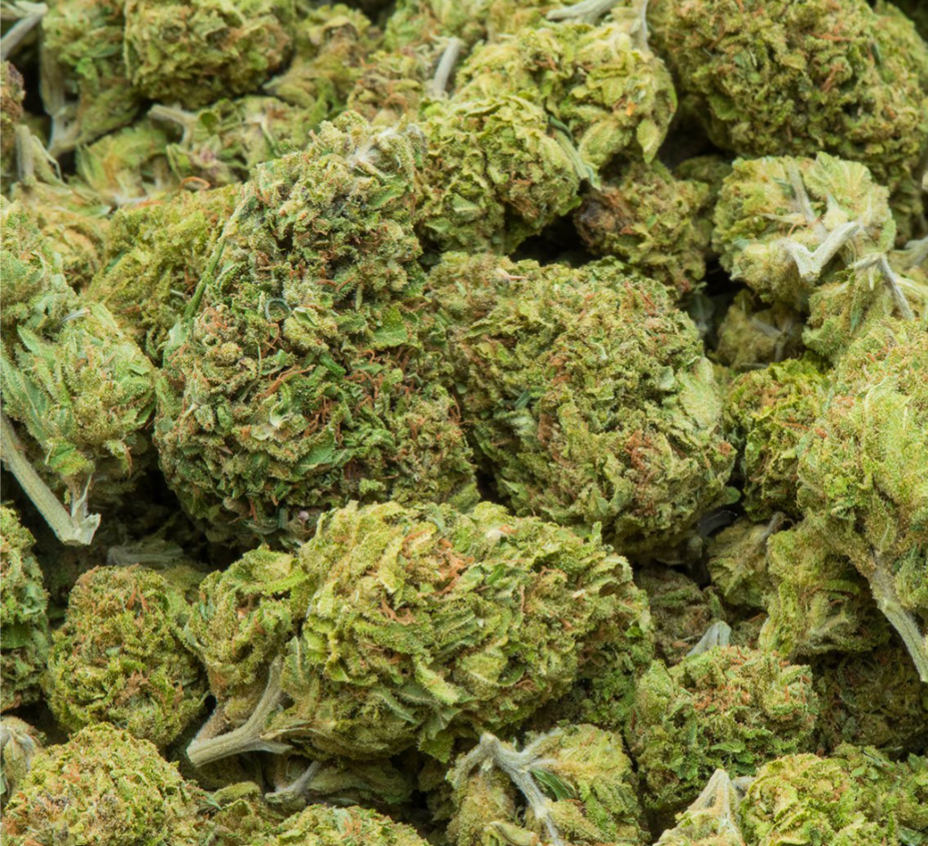 Cannabis has starring role at Fair