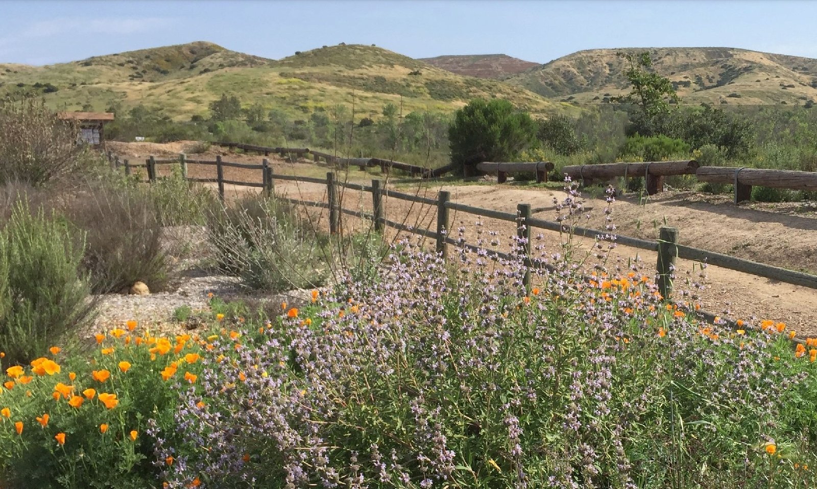 From Munition Range to Wildlife Sanctuary: How recent land donations have expanded Mission Trails Regional Park and kept East Elliott pristine